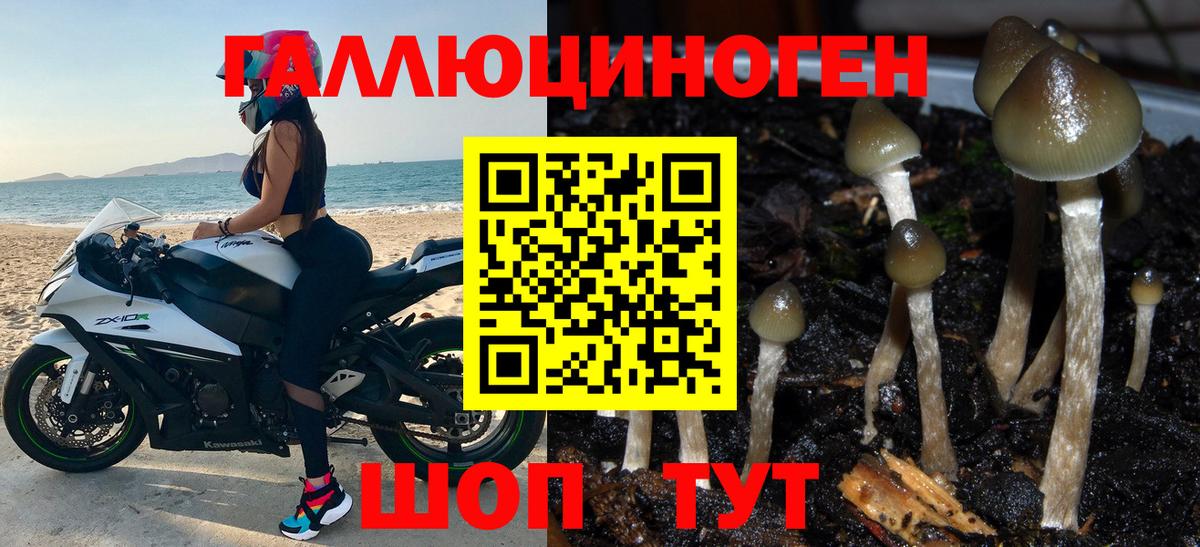 Белово  цены наркотик  Вход с VPN  Псилоцибиновые грибы прущие грибы 